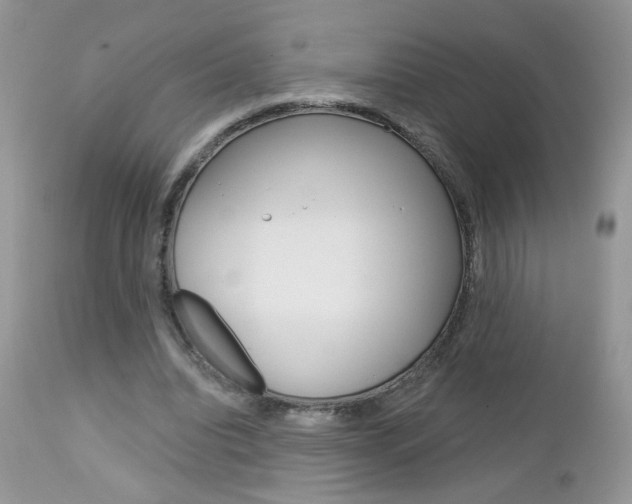 X0000113120440200908281046