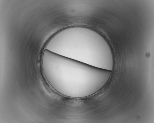 X0000113120443200908281046