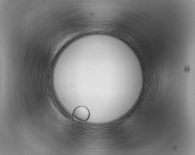 X0000113120444200908281046