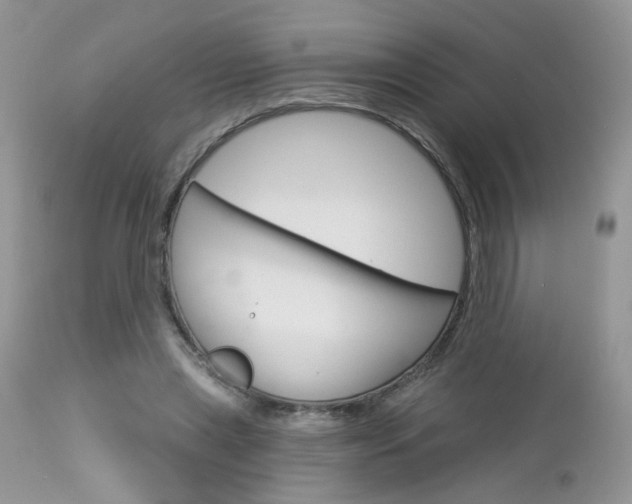 X0000113120445200908281046