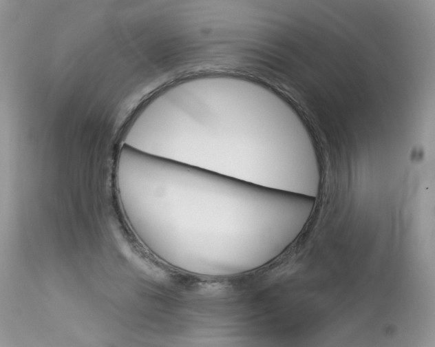 X0000113120446200908281046