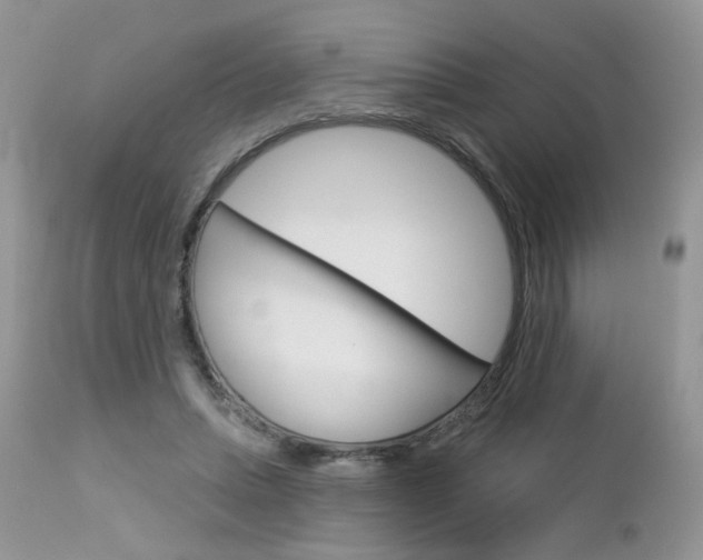 X0000113120447200908281046