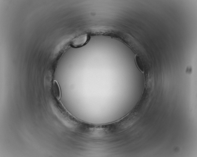 X0000113120448200908281046