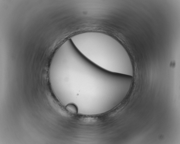 X0000113120449200908281046