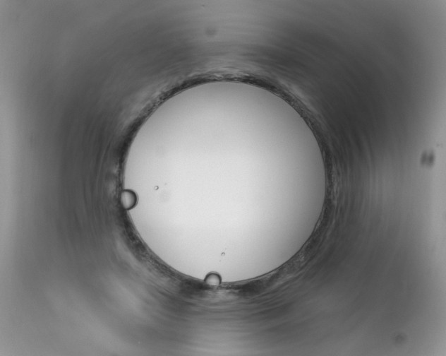 X0000113120451200908281046