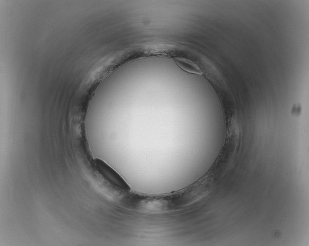 X0000113120452200908281046