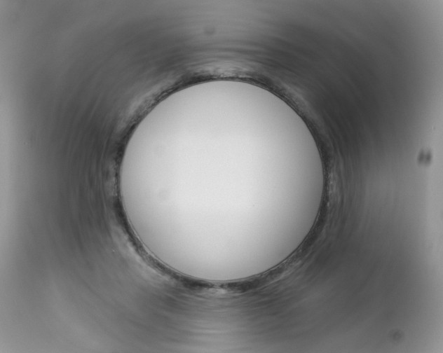 X0000113120453200908281046