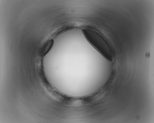 X0000113120456200908281046