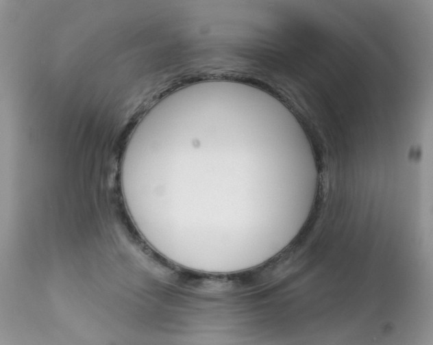 X0000113120458200908281046
