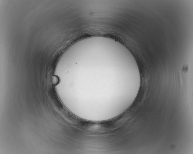X0000113120460200908281046