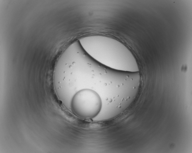 X0000113120462200908281046