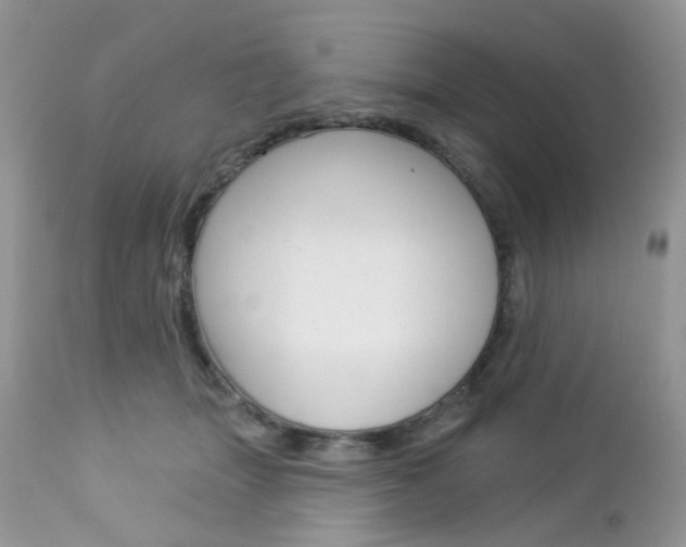 X0000113120463200908281046