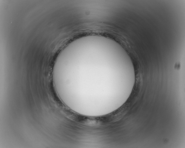 X0000113120464200908281046