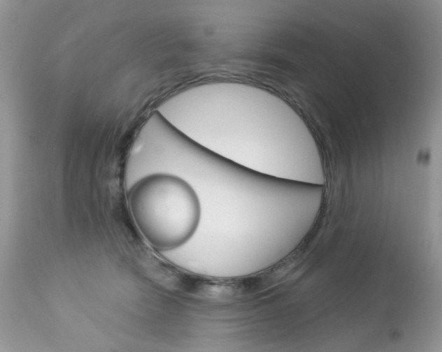 X0000113120466200908281046