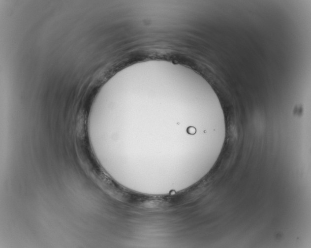 X0000113120468200908281046