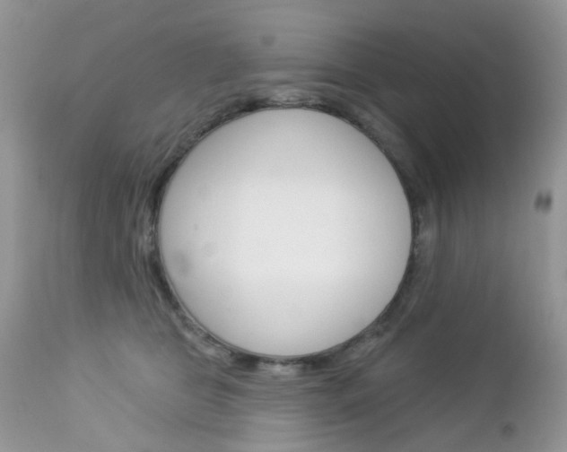 X0000113120469200908281046