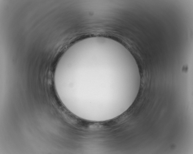 X0000113120470200908281046