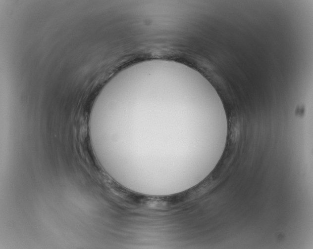 X0000113120471200908281046