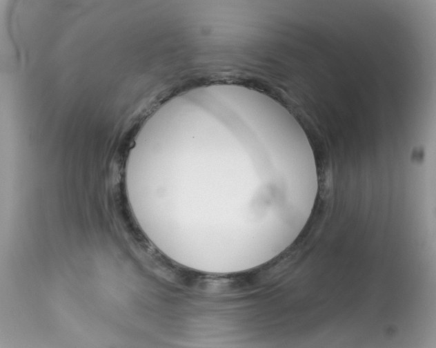 X0000113120472200908281046