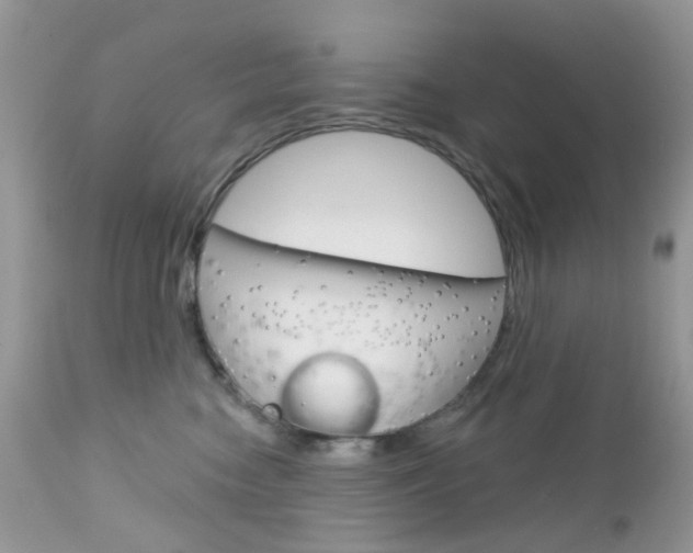 X0000113120474200908281046