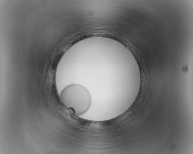 X0000113120475200908281046
