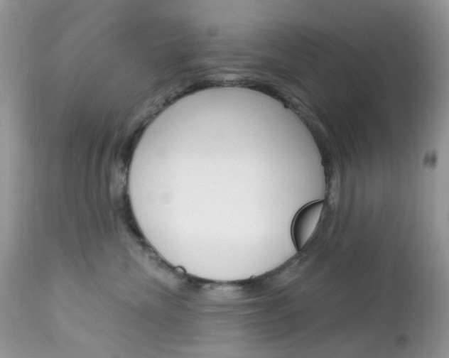 X0000113120476200908281046