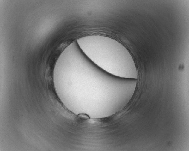 X0000113120477200908281046