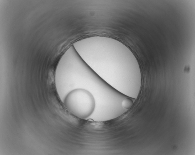 X0000113120478200908281046