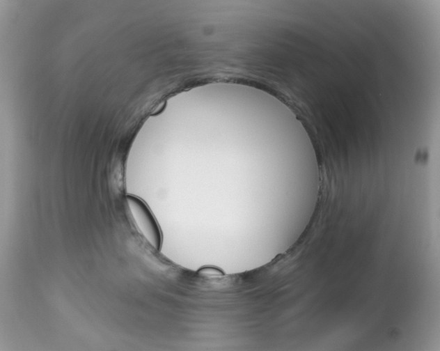 X0000113120479200908281046