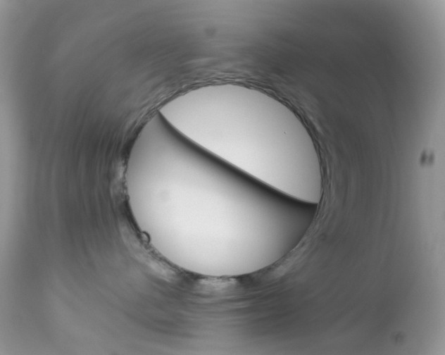X0000113120480200908281046