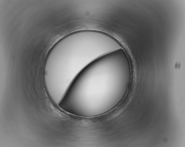 X0000113120481200908281046
