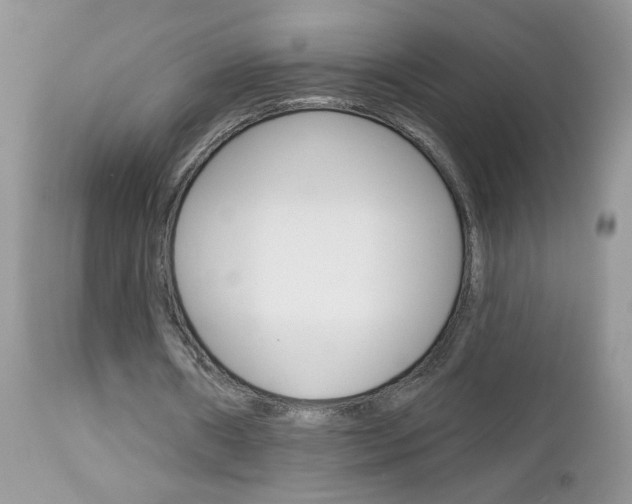 X0000113120482200908281046