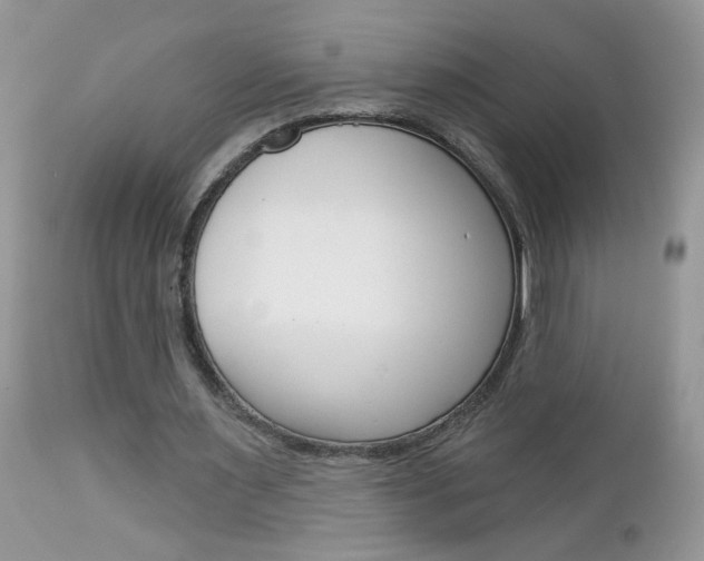 X0000113120483200908281045