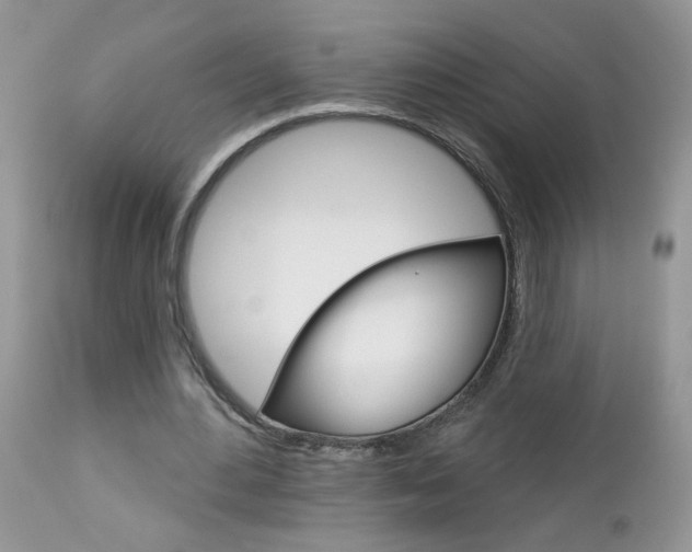 X0000113120484200908281045
