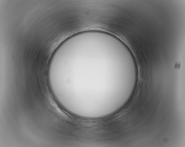 X0000113120485200908281045