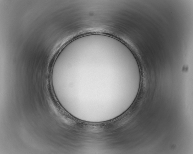 X0000113120486200908281045