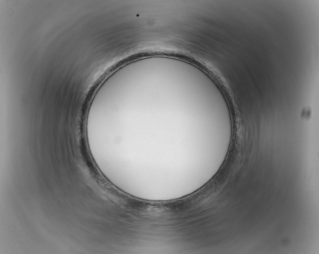 X0000113120487200908281045