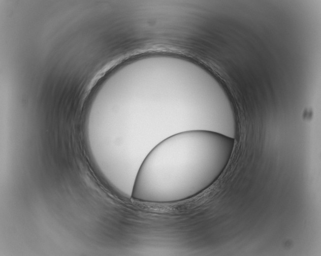 X0000113120488200908281045
