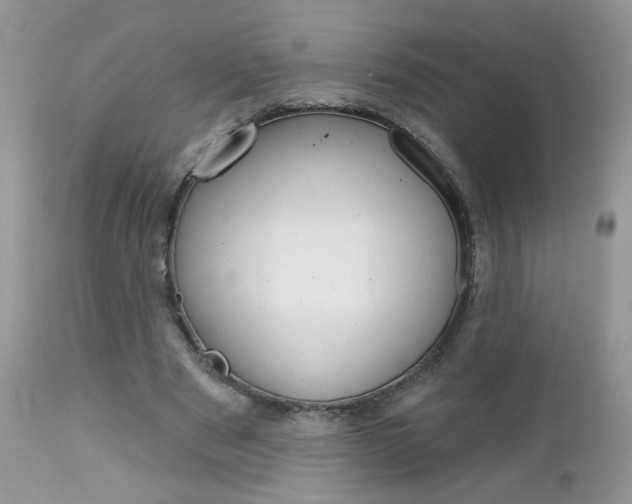 X0000113120489200908281045