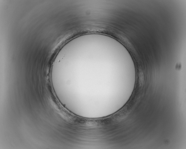 X0000113120490200908281045