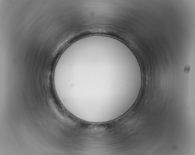 X0000113120491200908281045