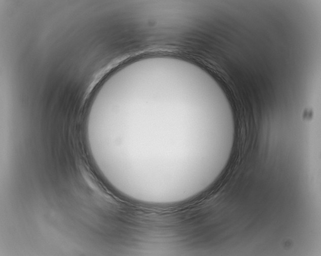 X0000113120492200908281045