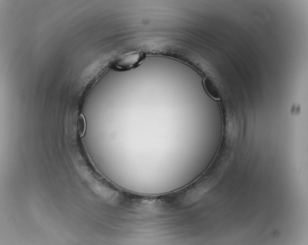X0000113120493200908281045