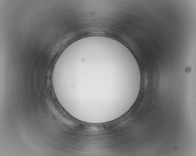 X0000113120494200908281045