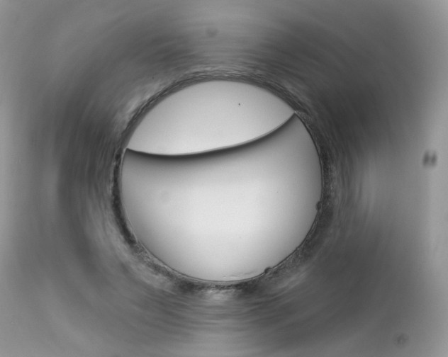 X0000113120495200908281045