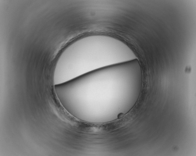 X0000113120496200908281045