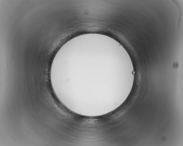 X0000113120497200908281045