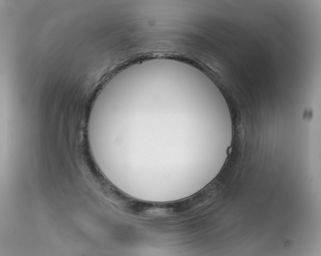 X0000113120499200908281045
