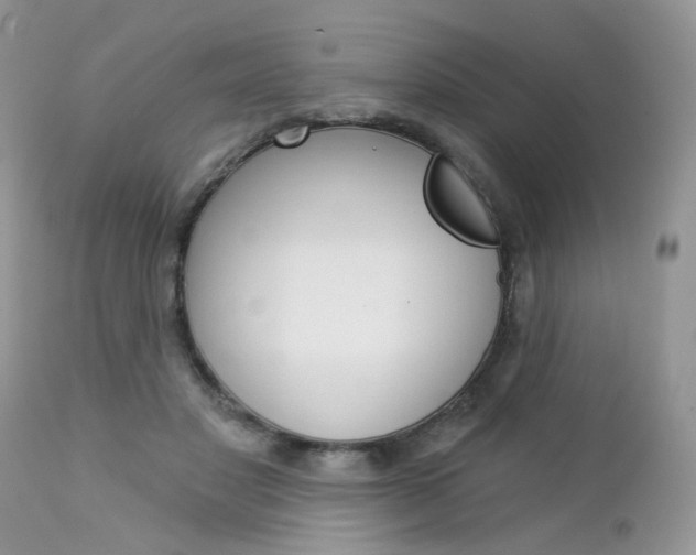 X0000113120501200908281045