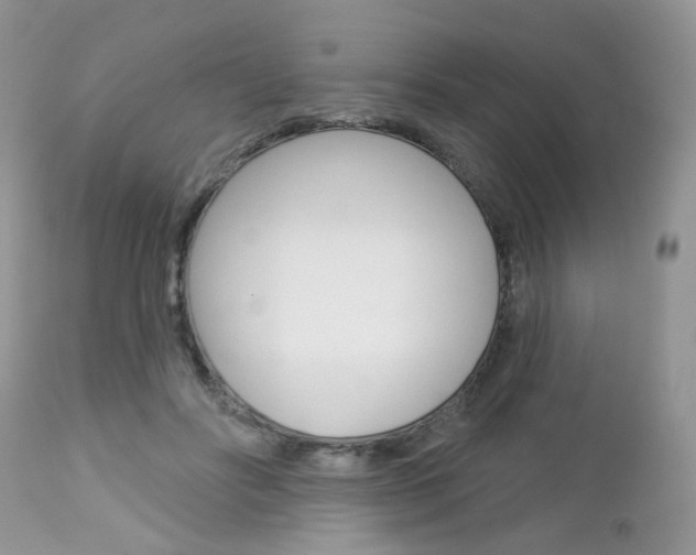 X0000113120502200908281045